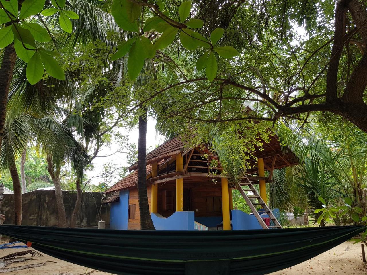 Albero Cabanas Arugam Bay Zewnętrze zdjęcie