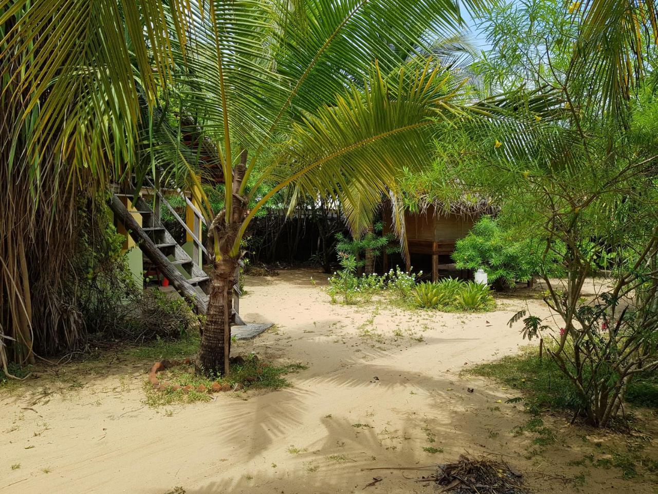 Albero Cabanas Arugam Bay Zewnętrze zdjęcie