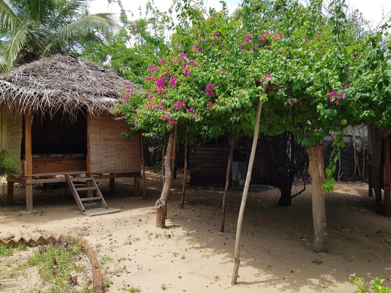 Albero Cabanas Arugam Bay Zewnętrze zdjęcie