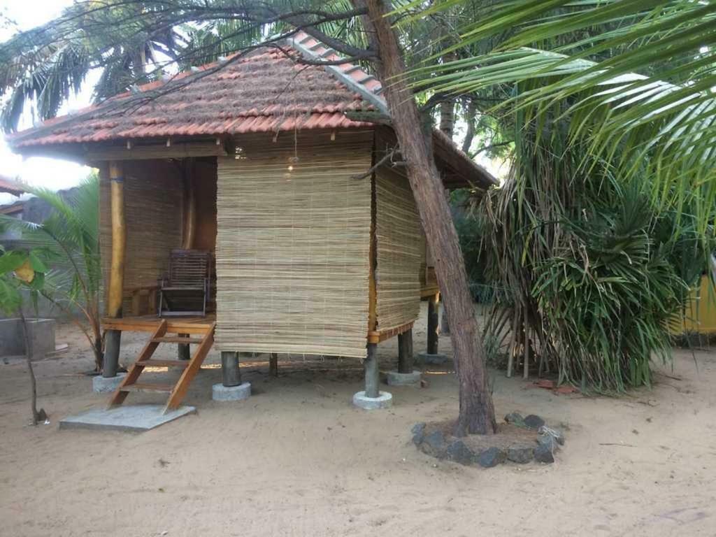 Albero Cabanas Arugam Bay Pokój zdjęcie